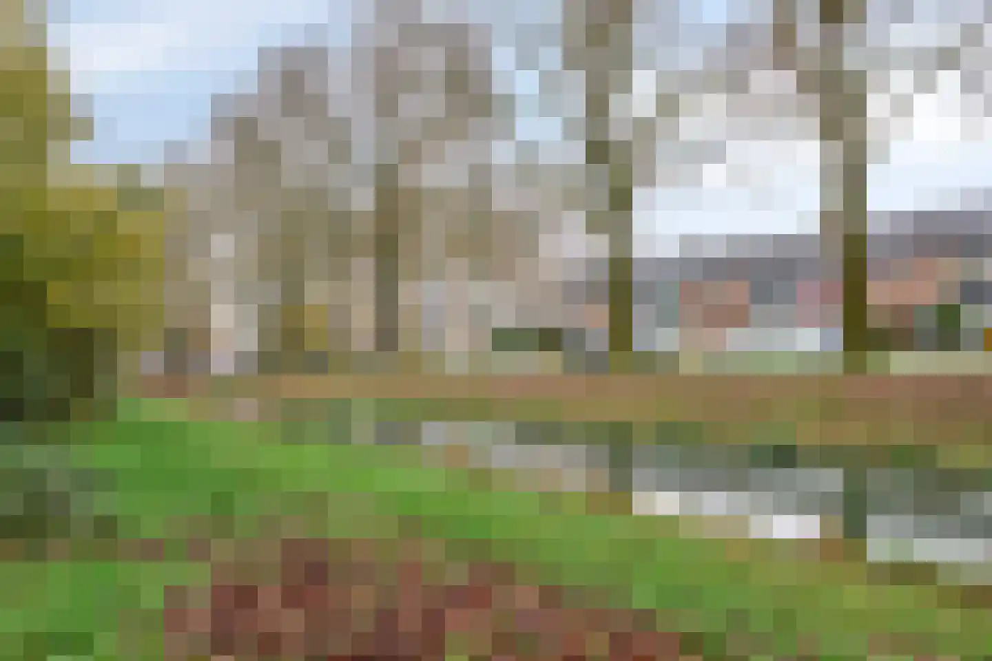 Wildenborglaan 34 2 Arnhem thumbnail 25