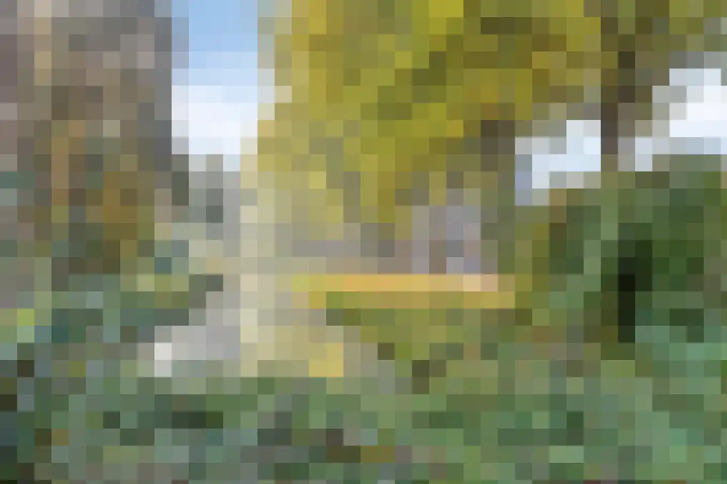 Wildenborglaan 34 6 Arnhem thumbnail 29