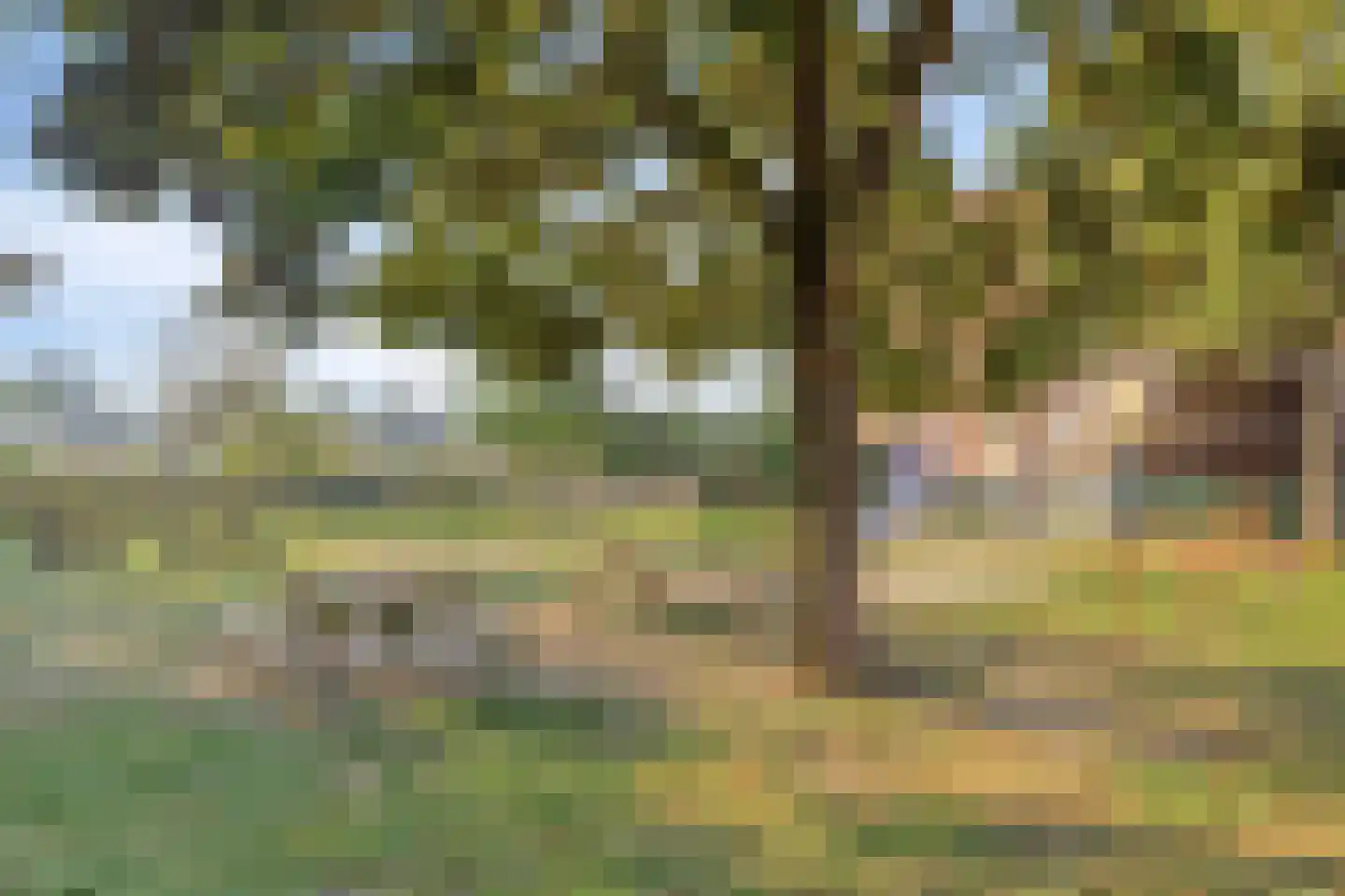 Wildenborglaan 34 6 Arnhem thumbnail 30