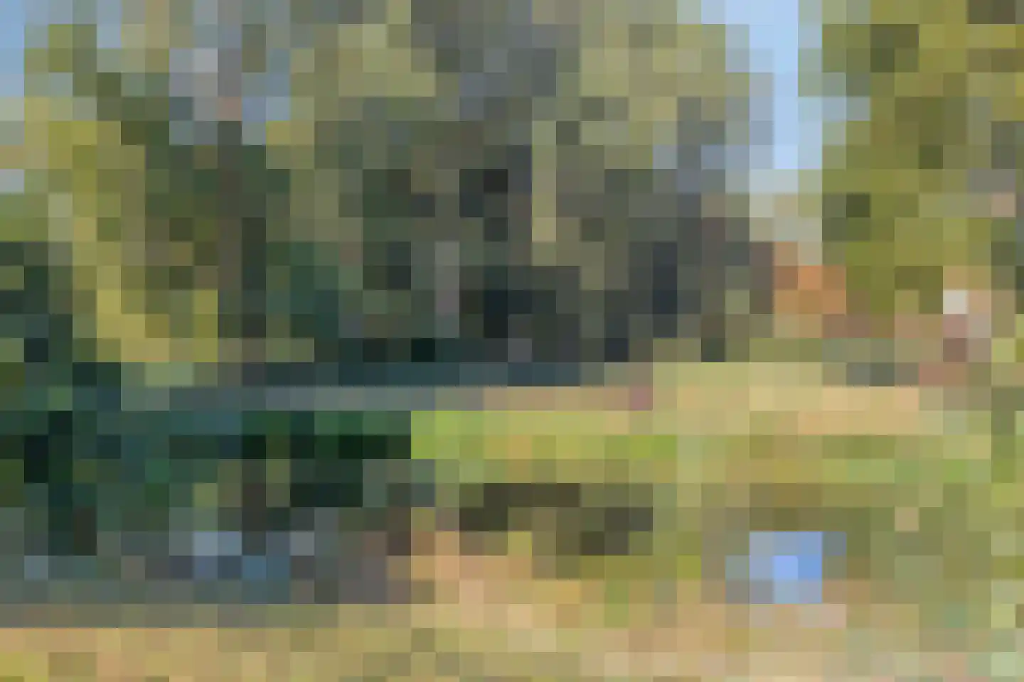 Wildenborglaan 34 6 Arnhem thumbnail 33