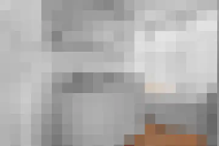 Wildenborglaan 36 3 Arnhem thumbnail 22