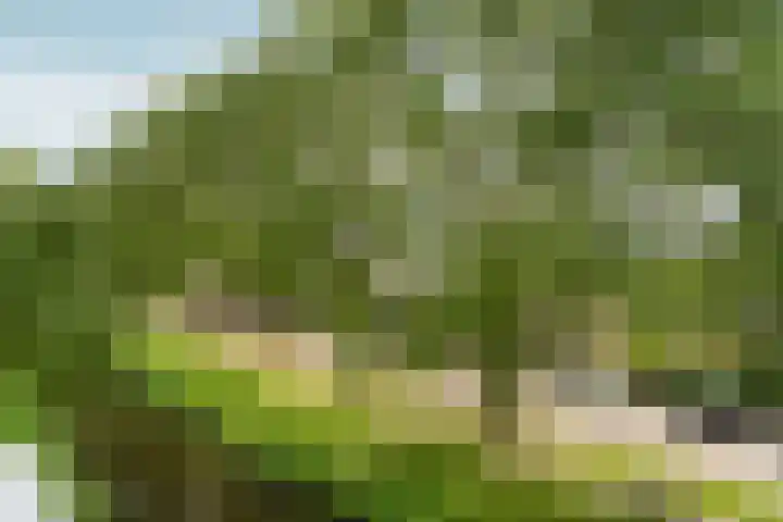 Wildenborglaan 36 3 Arnhem thumbnail 27
