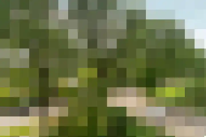 Wildenborglaan 36 3 Arnhem thumbnail 28