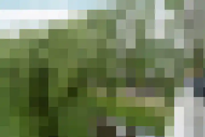 Wildenborglaan 36 3 Arnhem thumbnail 30