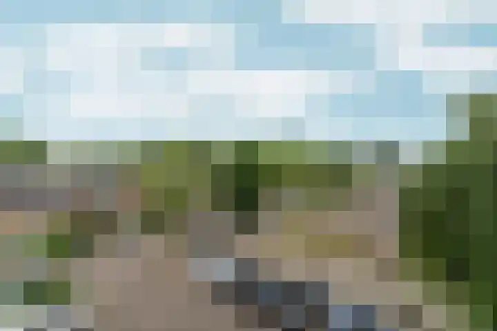 Wildenborglaan 36 3 Arnhem thumbnail 31