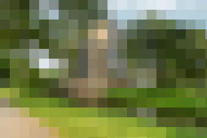 Wildenborglaan 36 3 Arnhem thumbnail 36