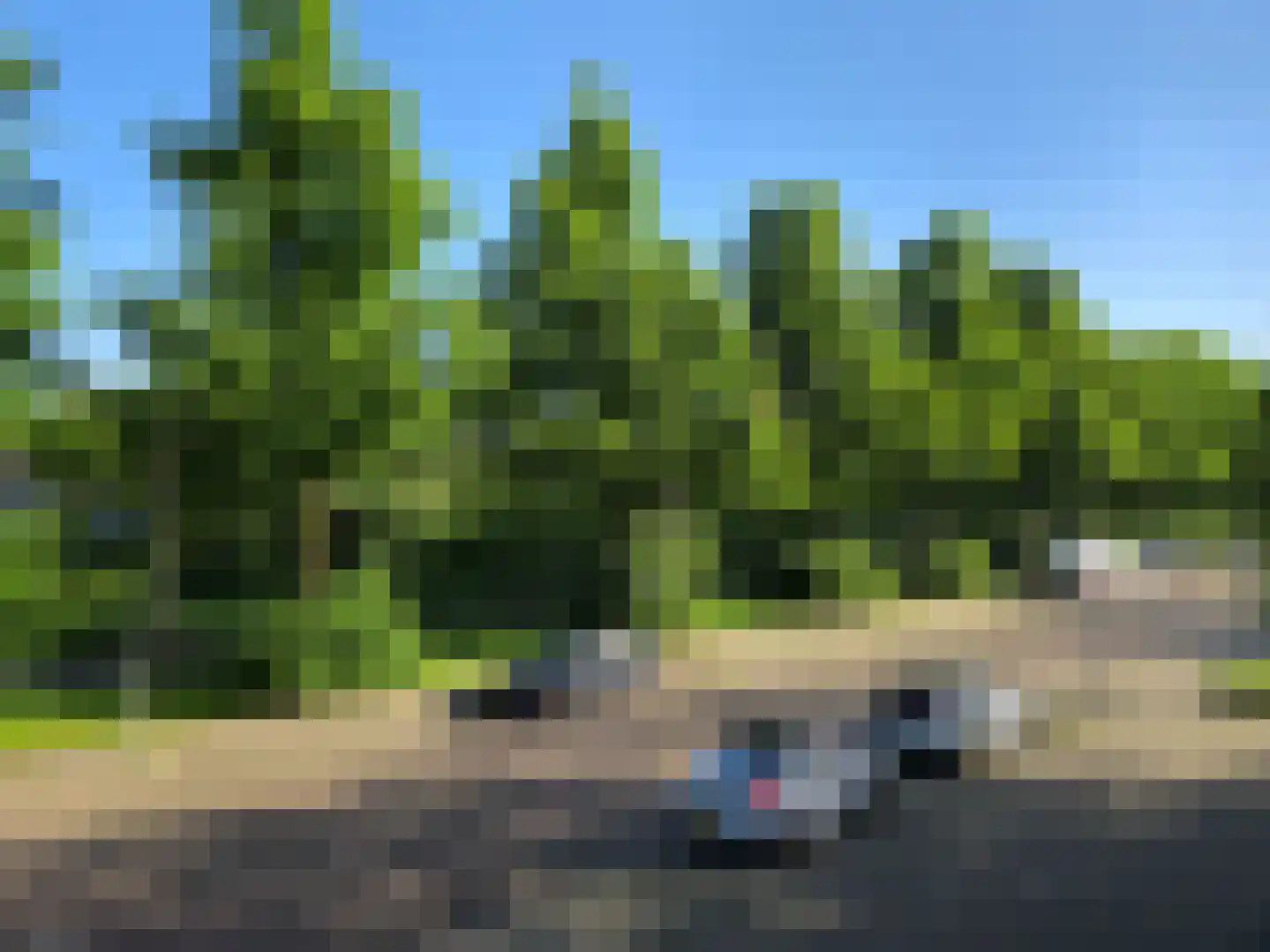 Wildenborglaan 4 1 Arnhem thumbnail 10