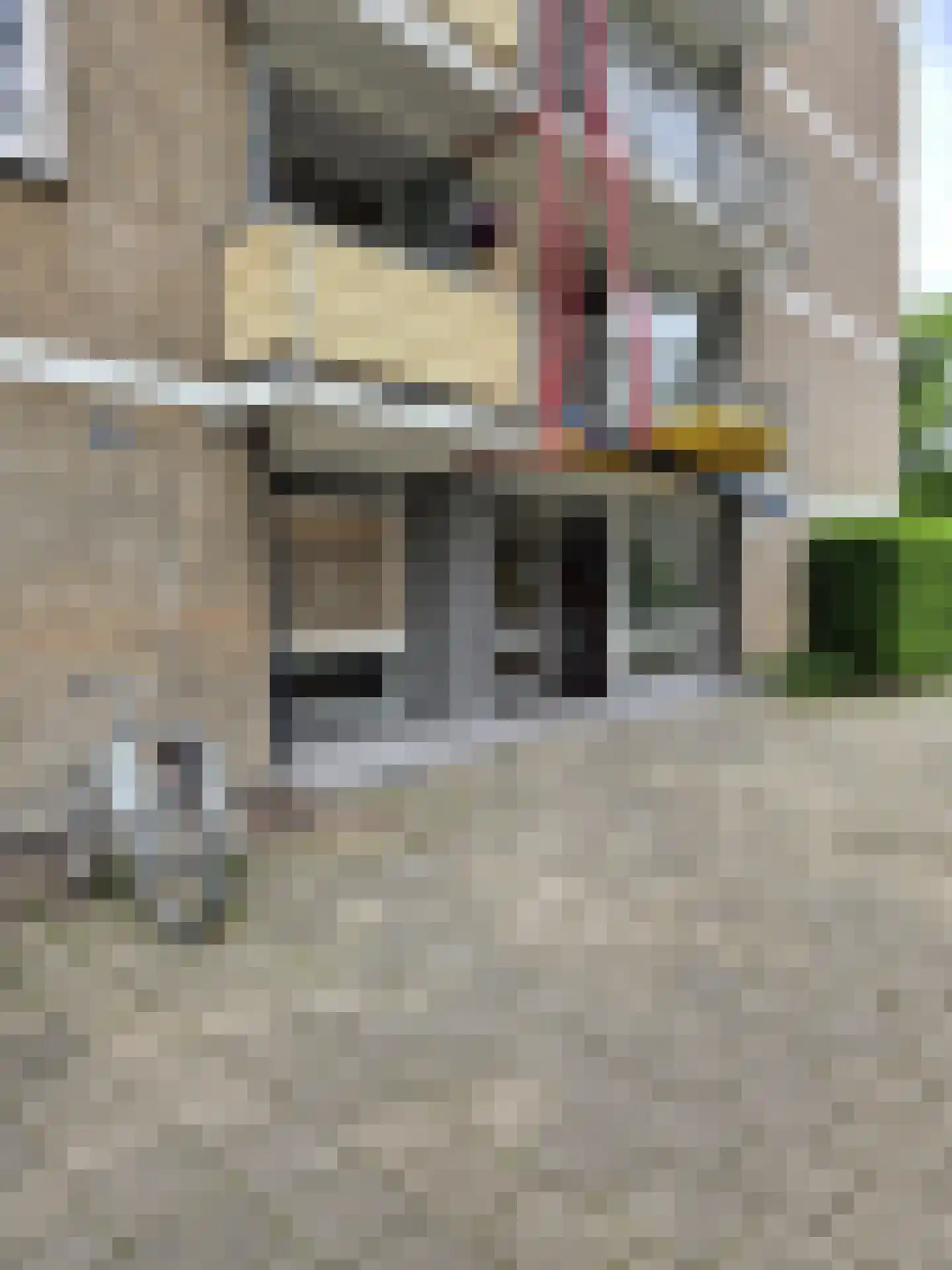 Wildenborglaan 4 1 Arnhem thumbnail 16
