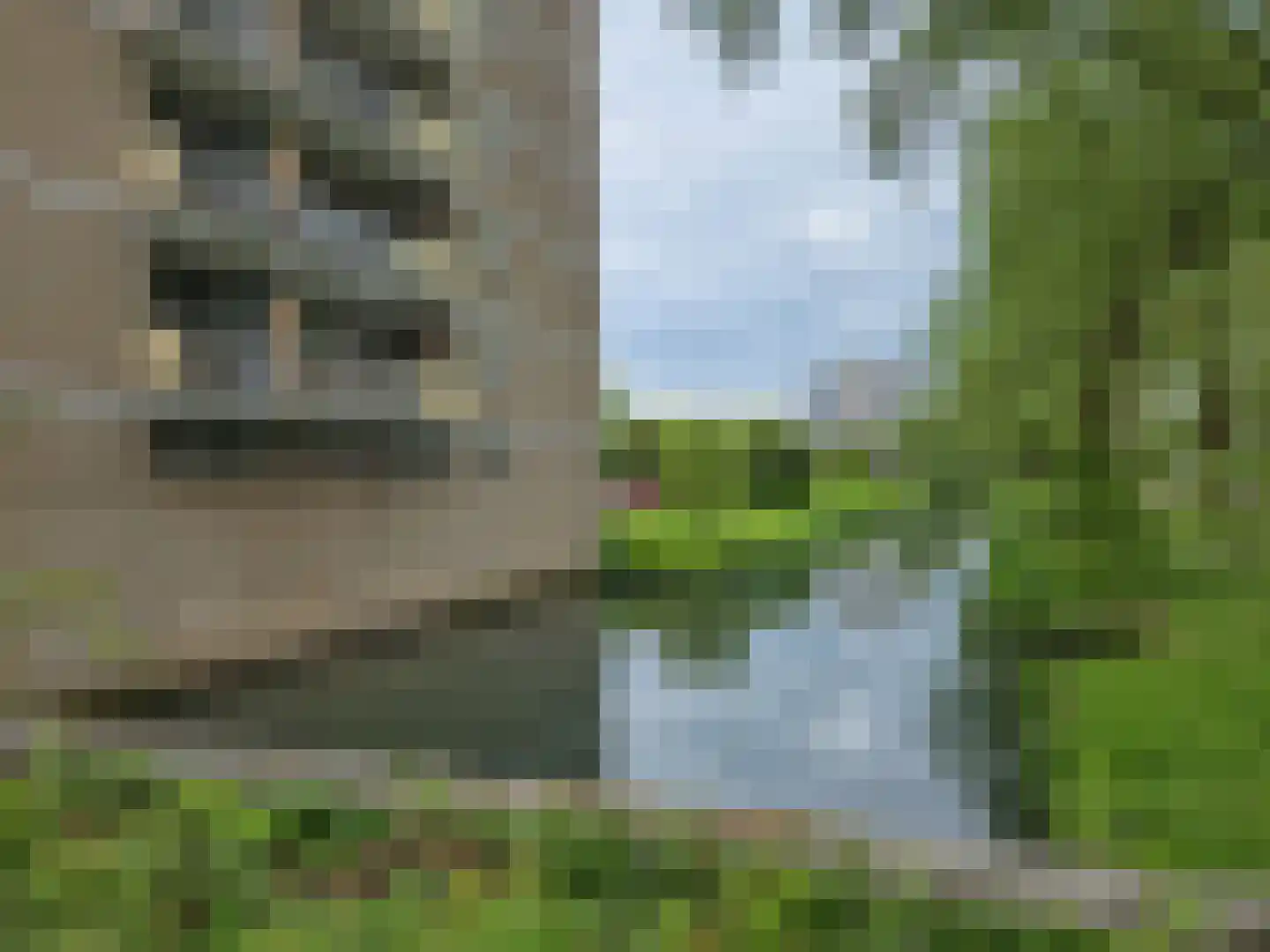 Wildenborglaan 4 1 Arnhem thumbnail 20