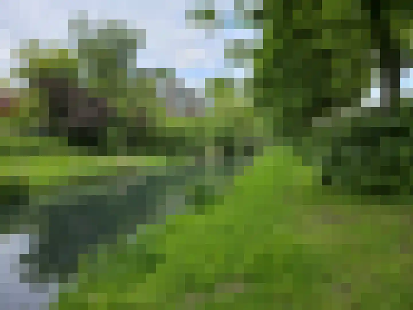 Wildenborglaan 4 1 Arnhem thumbnail 21