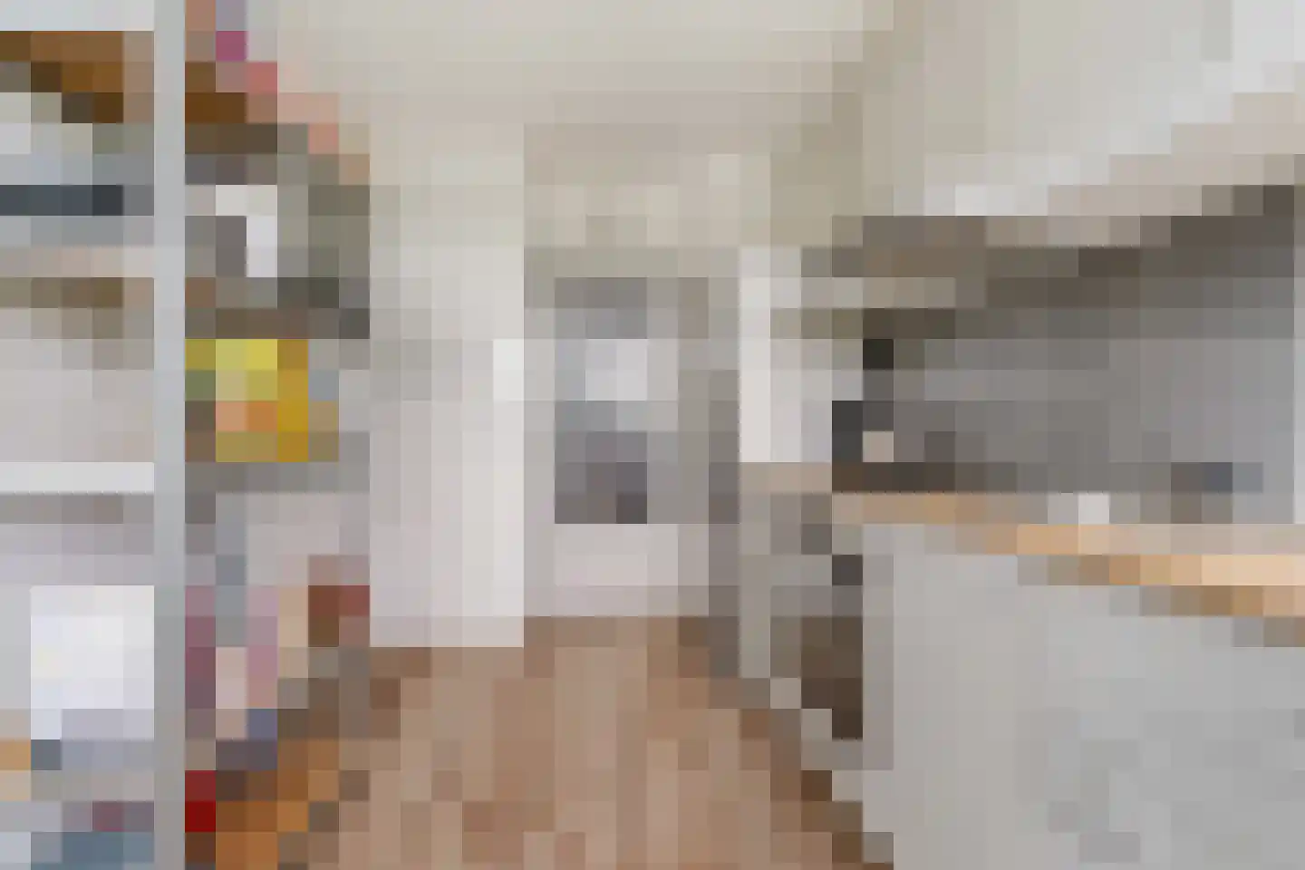 Wildenborglaan 6 4 Arnhem thumbnail 17