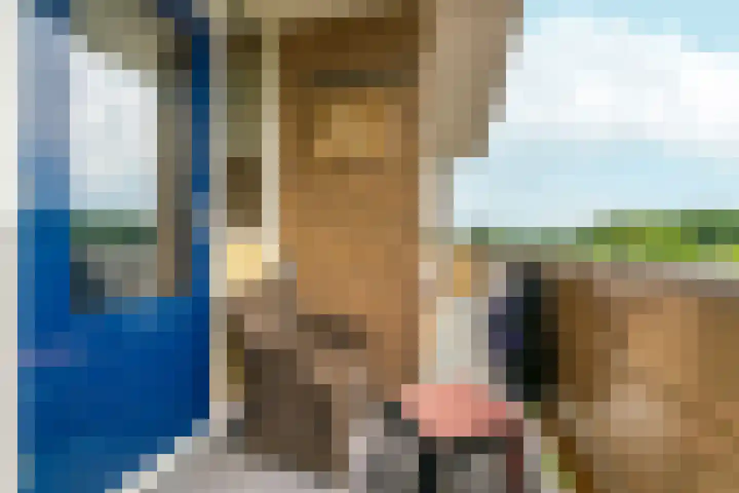 Wildenborglaan 6 4 Arnhem thumbnail 18