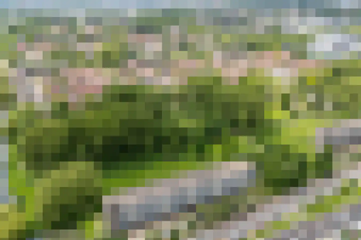 Wildenborglaan 6 4 Arnhem thumbnail 37