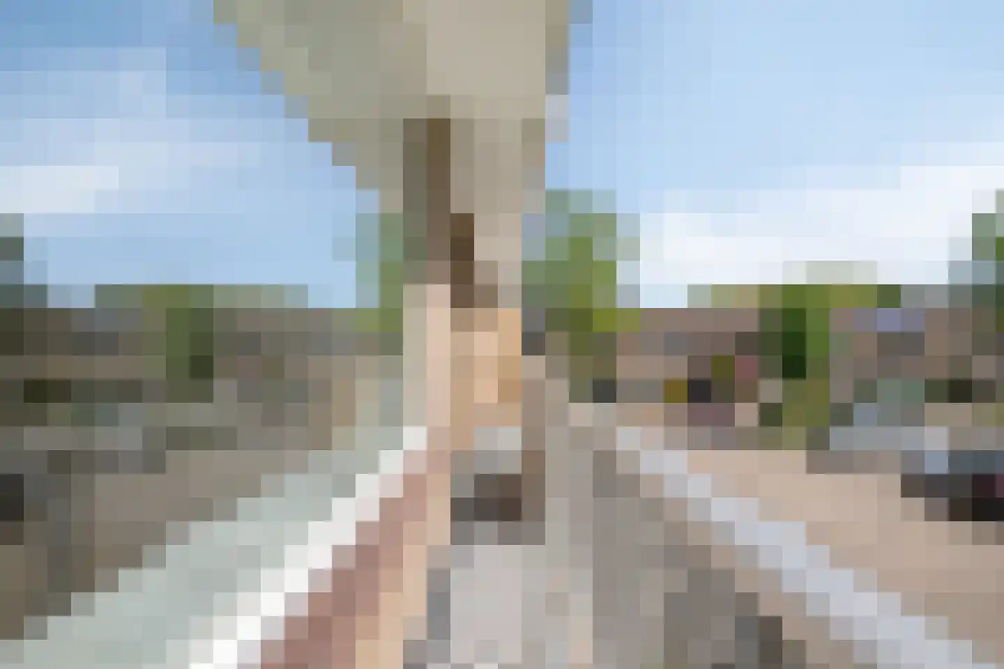 Wildenborglaan 8 1 Arnhem thumbnail 17