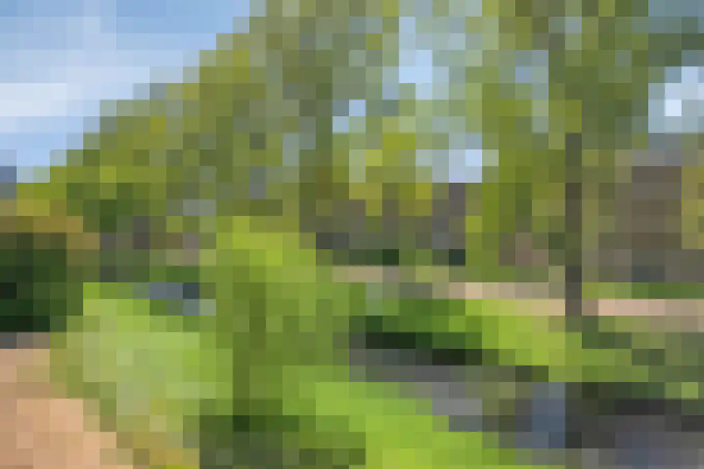 Wildenborglaan 8 1 Arnhem thumbnail 33