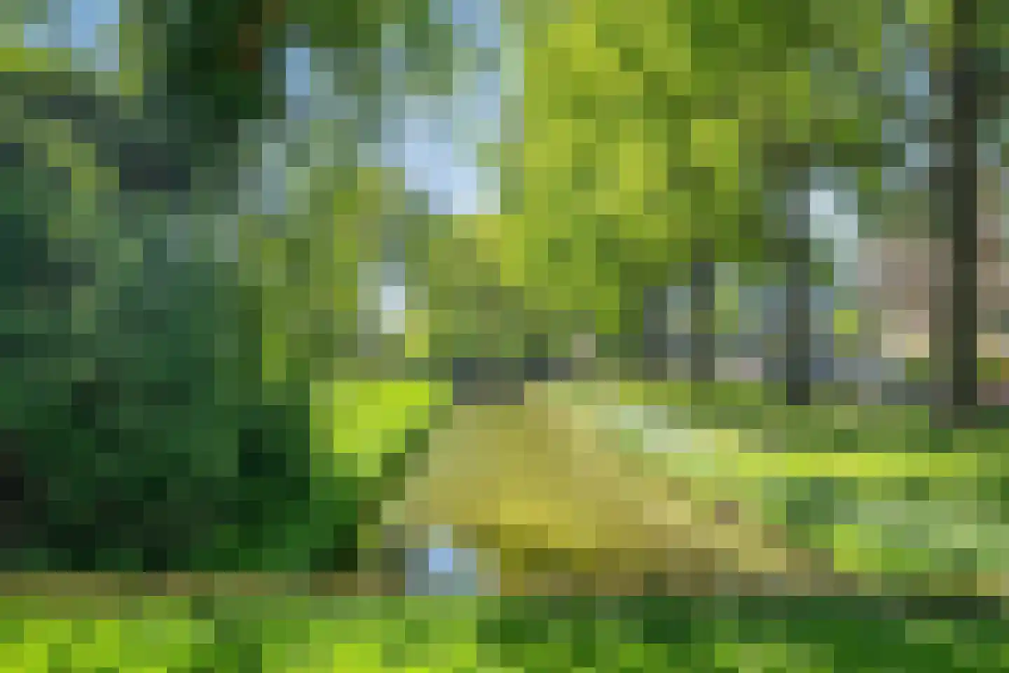 Wildenborglaan 8 1 Arnhem thumbnail 35
