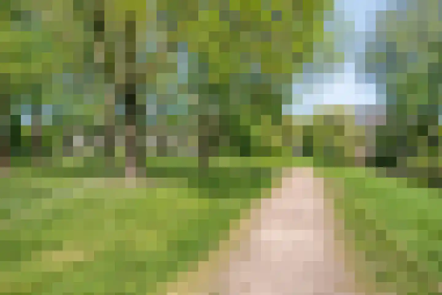 Wildenborglaan 8 1 Arnhem thumbnail 40