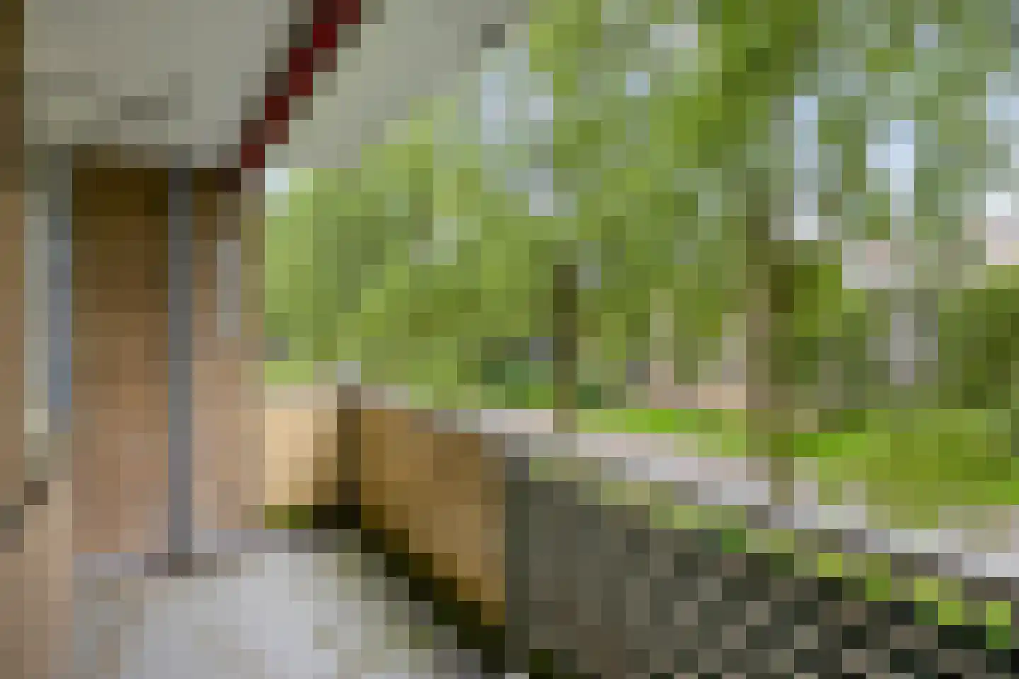 Wildenborglaan 8 2 Arnhem thumbnail 15