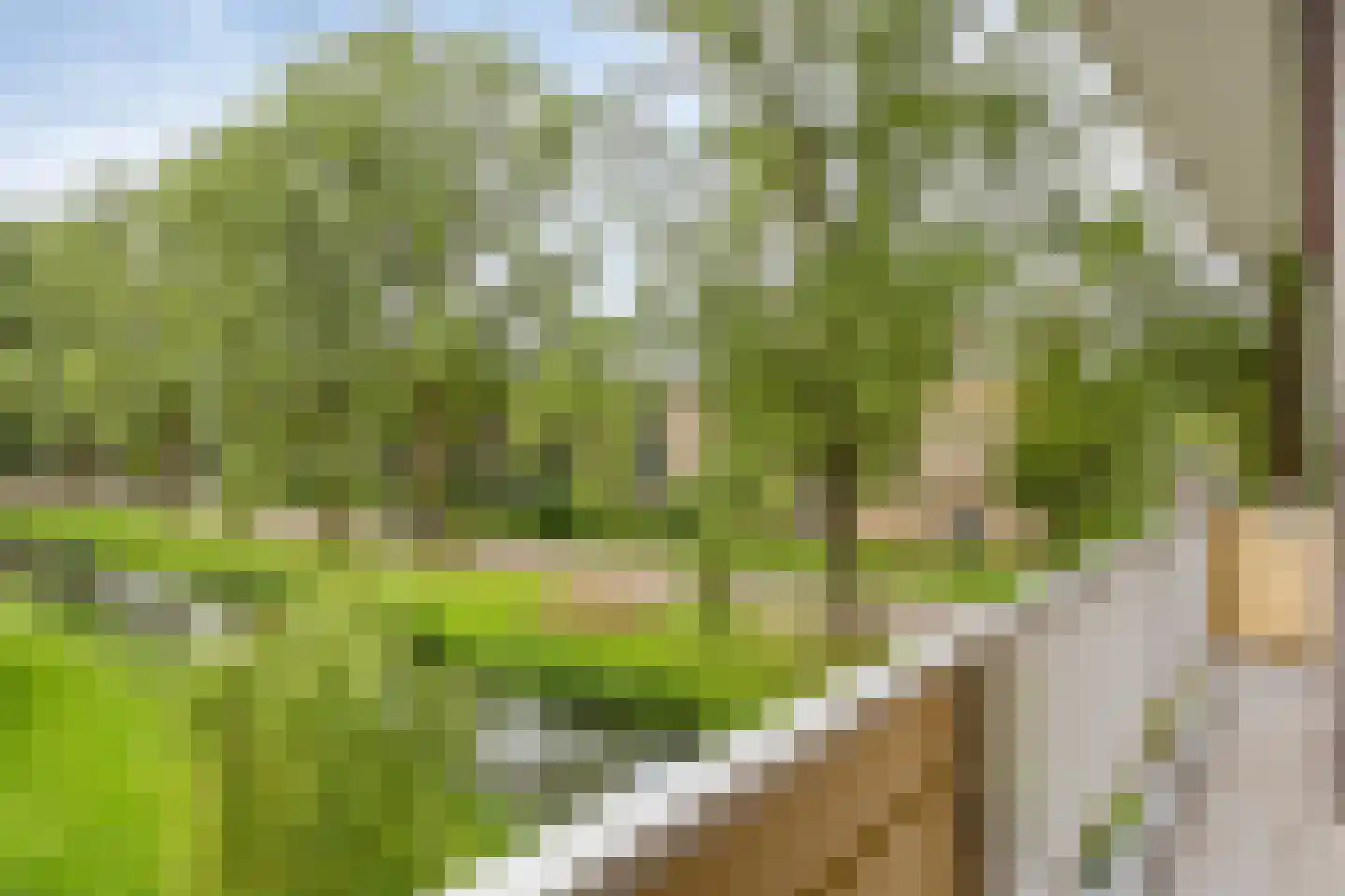 Wildenborglaan 8 2 Arnhem thumbnail 4