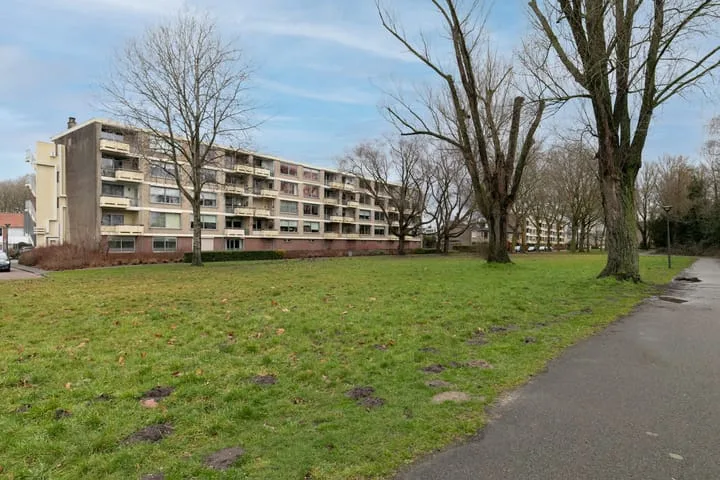 Wildenborgstraat 38 D Breda thumbnail 5