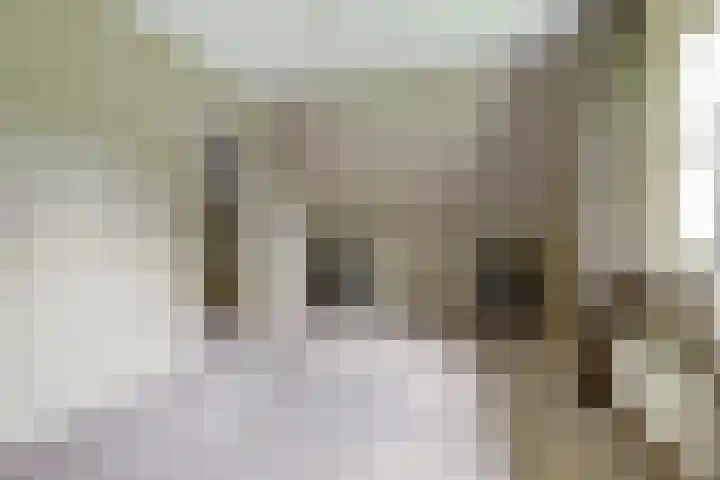 Wildenburglaan 1 Baarn thumbnail 19