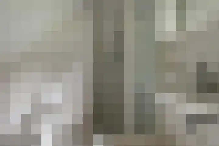 Wildenburglaan 1 Baarn thumbnail 21