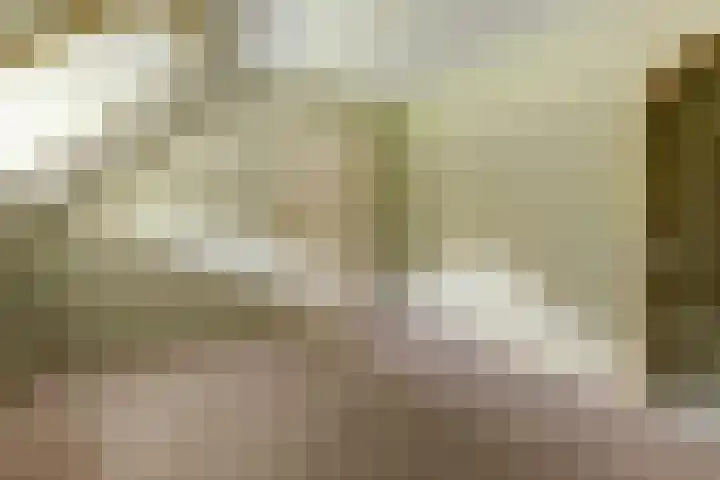 Wildenburglaan 1 Baarn thumbnail 24
