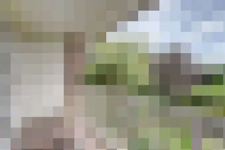 Wildenburglaan 1 Baarn thumbnail 32
