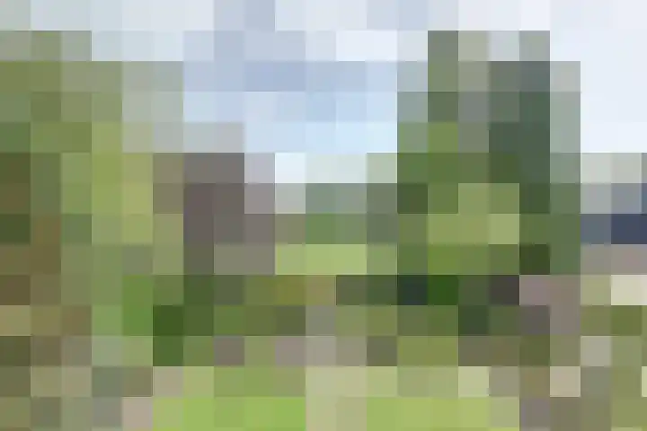 Wildenburglaan 1 Baarn thumbnail 33