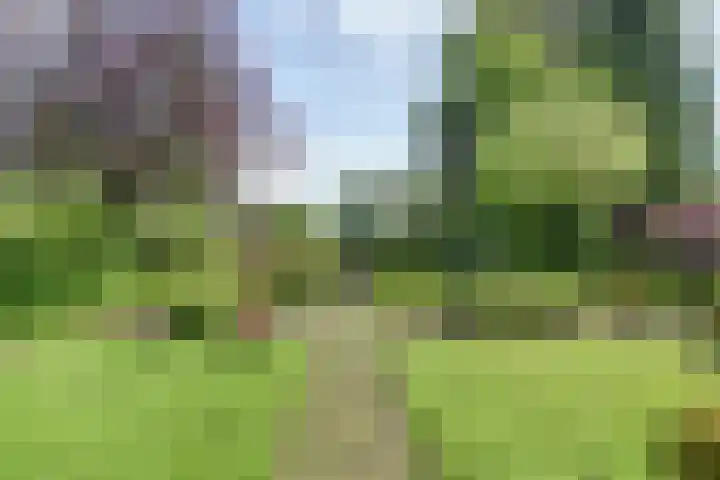 Wildenburglaan 1 Baarn thumbnail 35