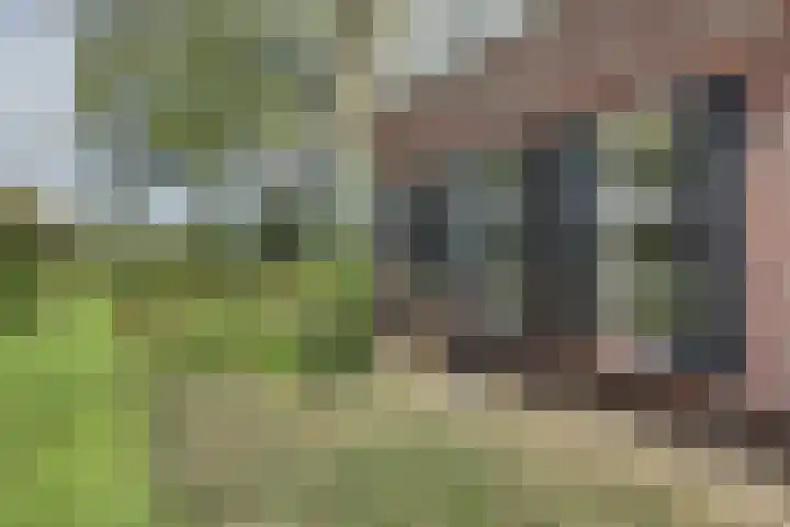 Wildenburglaan 1 Baarn thumbnail 36