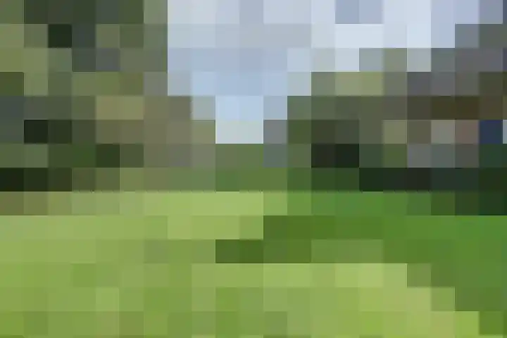 Wildenburglaan 1 Baarn thumbnail 37