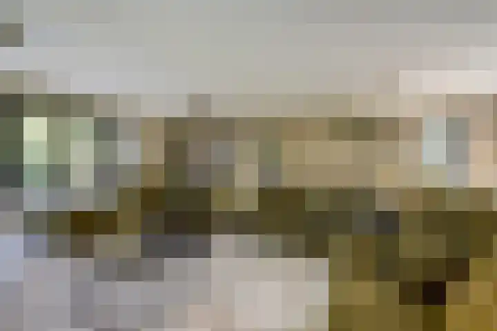 Wildenburglaan 1 Baarn thumbnail 4