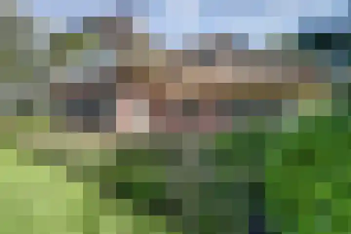 Wildenburglaan 1 Baarn thumbnail 41