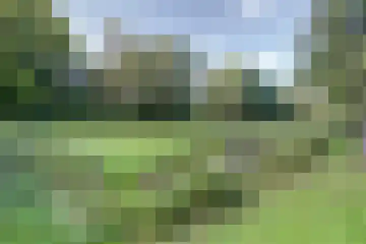 Wildenburglaan 1 Baarn thumbnail 42