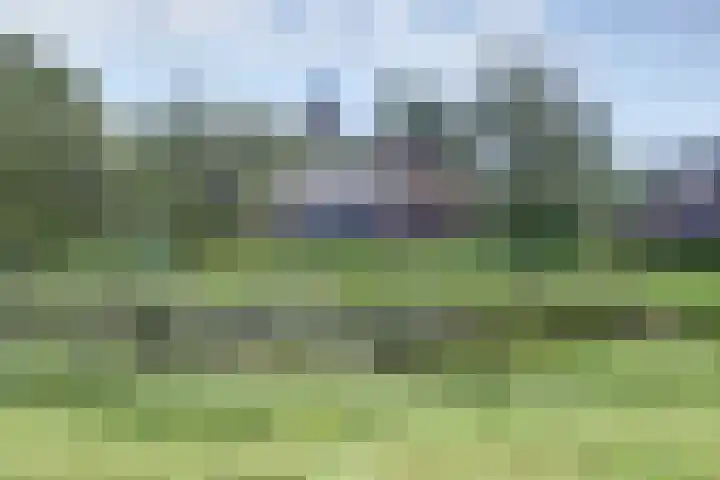 Wildenburglaan 1 Baarn thumbnail 43