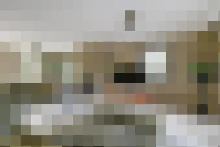 Wildenburglaan 1 Baarn thumbnail 5