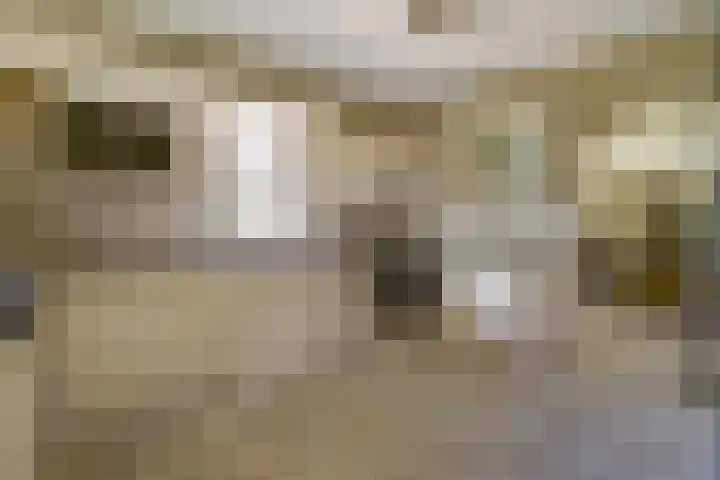 Wildenburglaan 1 Baarn thumbnail 8