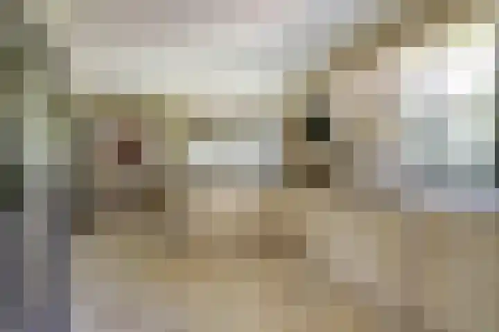 Wildenburglaan 1 Baarn thumbnail 9