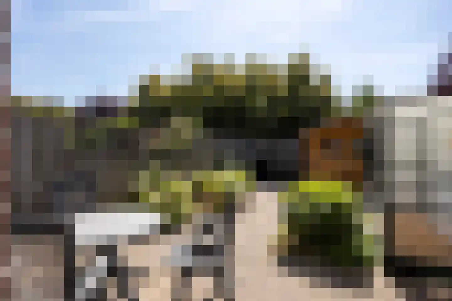 Wildenburgstraat 49 Leusden thumbnail 27