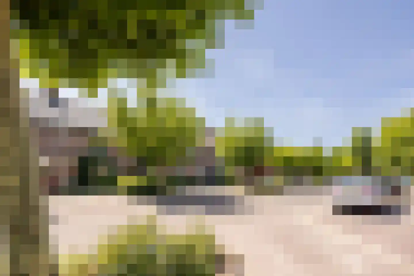 Wildenburgstraat 49 Leusden thumbnail 32