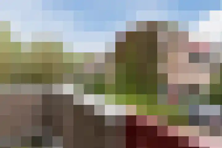 Wildenburgstraat 91 Leusden thumbnail 18
