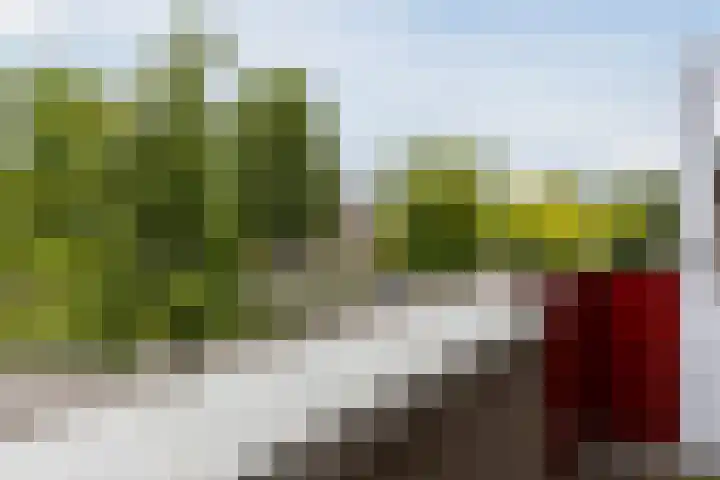 Wildenburgstraat 91 Leusden thumbnail 19