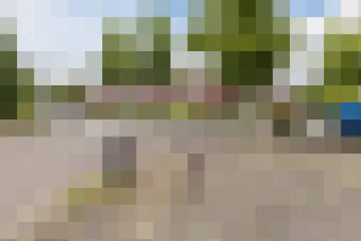 Wildenburgstraat 91 Leusden thumbnail 31