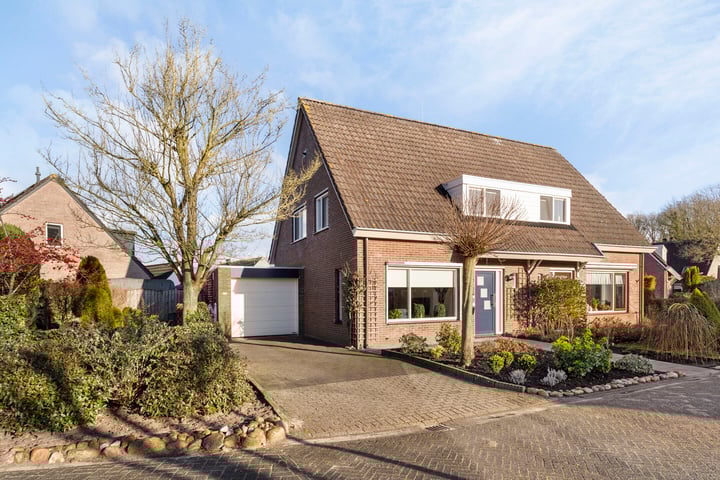 Wilderapels 20 in Vledder foto