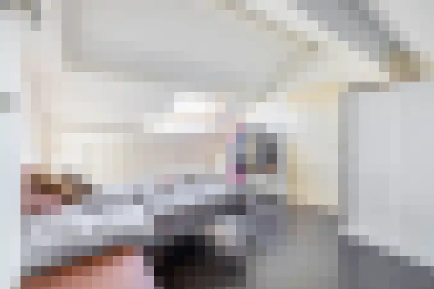 Wilderbeekstraat 2 Tegelen thumbnail 19