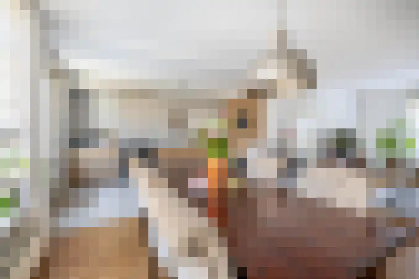 Wilderbeekstraat 2 Tegelen thumbnail 5