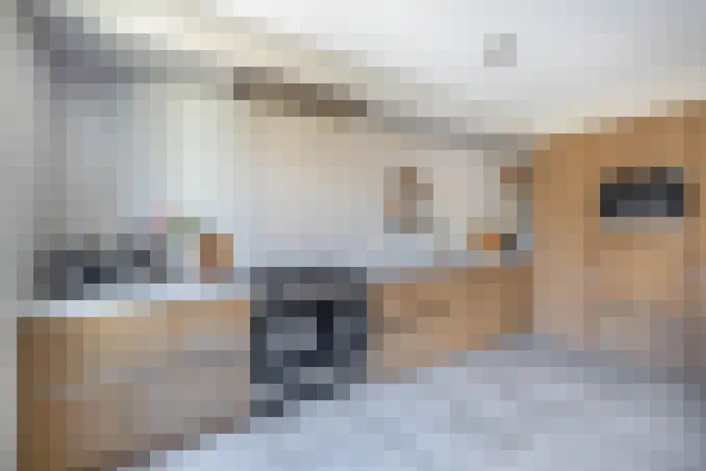 Wilderbeekstraat 2 Tegelen thumbnail 6