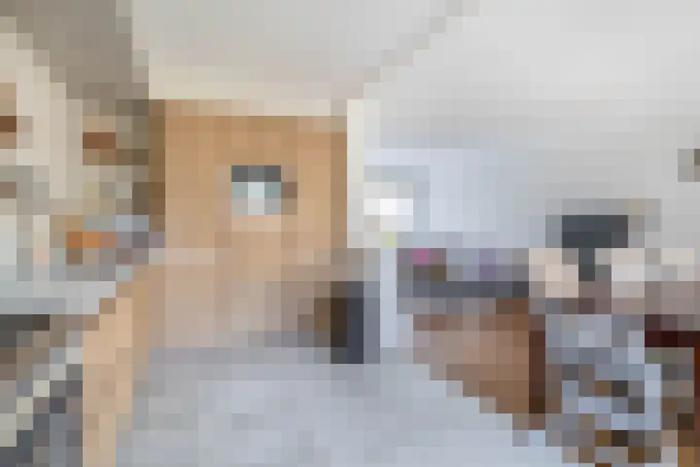 Wilderbeekstraat 2 Tegelen thumbnail 8