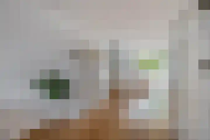 Wilderbeekstraat 28 Tegelen thumbnail 5